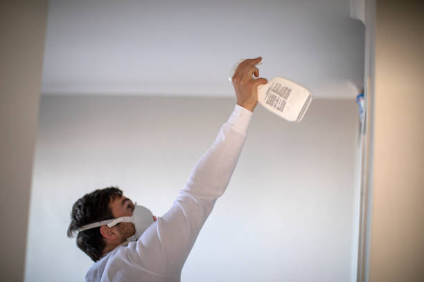 Best DIY Mold Remediation Support Services in Los Altos Hills, CA