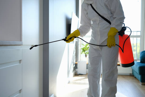 Best Commercial Mold Remediation in Los Altos Hills, CA