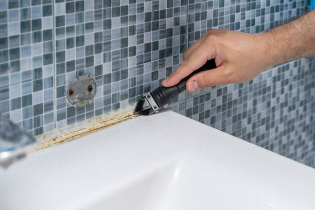 Best DIY Mold Remediation Support Services in Los Altos Hills, CA
